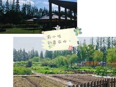-前小桔亲子创意农场·草莓采摘·露营烧烤