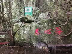 -雁南飞茶田景区