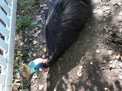 -哈尔滨北方森林动物园