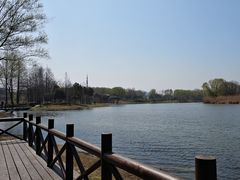 -长广溪湿地公园