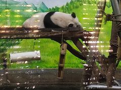 -柳州市动物园