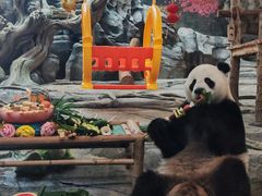 -武汉动物园