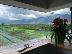 -翠田Green Field Kitchen