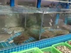 -富临港·蒸汽海鲜·手抓海鲜·炒菜(栈桥店)