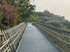 -福道