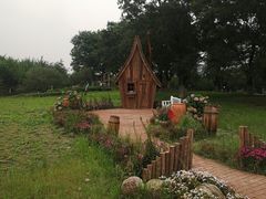 -秀丽东方