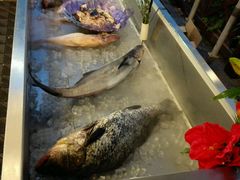 -渔家火锅·海鲜自助餐·演艺(亚龙湾天域酒店)