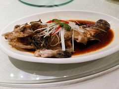 -金蝉食府(维吉奥广场店)