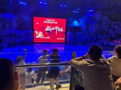 -芜湖新华联大白鲸海洋公园