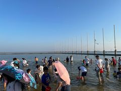 -碧海金沙