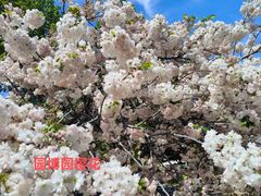 -济南国际园博园