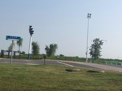 -合肥滨湖国家森林公园