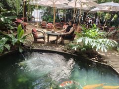 -Fern Forest Cafe