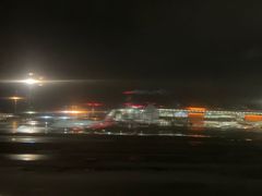 -谢列梅捷沃国际机场