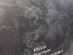-無用生活空间(北京店)