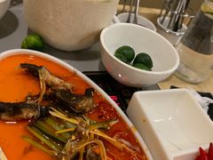 -烹然四季椰子鸡火锅(团结湖总店)