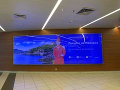 -谢列梅捷沃国际机场