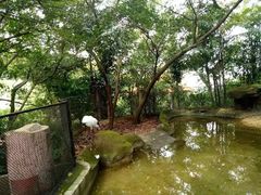 -小洲村