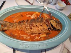 -阿五黄河大鲤鱼(英协路店)