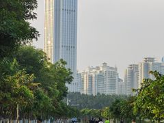 -万绿园