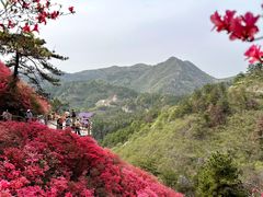 -木兰云雾山