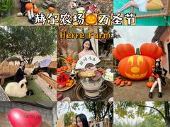 -HERRE·FARM 赫尔露营农场·团建聚会包场