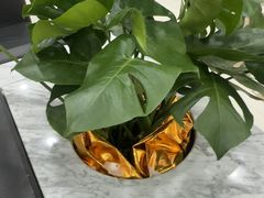 -上海仁爱医院