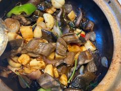 -香港狮子山下·明星粤菜餐厅(北苑店)