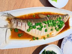 -连鹭海鲜·海肠捞饭·海胆饭(星海店)