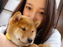 -逗柴咖啡屋·狗咖猫咖宠物桌游