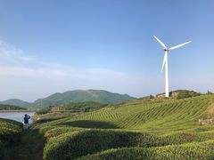 -东白山