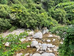 -庐山碧龙潭风景区