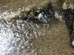 -白水寺森林公园