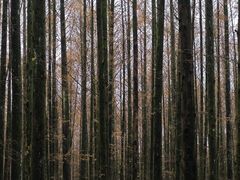 -山王坪喀斯特国家生态公园