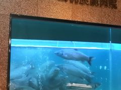 -淘米捞·米汤脆鲩鱼火锅(福田皇岗店)