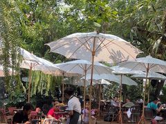 -Fern Forest Cafe