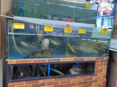 -湘君私厨.16年湘菜店(金匙望湖店)