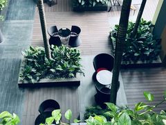 -樟宜机场皇冠假日酒店 （SG Clean） - IHG 旗下酒店