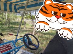 -野鸭湖国家湿地公园