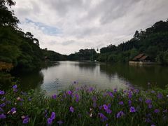 -广州长隆野生动物世界