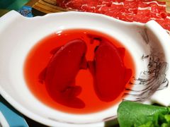 -青瓷火锅料理(西单大悦城店)