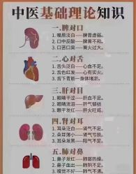 -香薇妮丝女子减肥院
