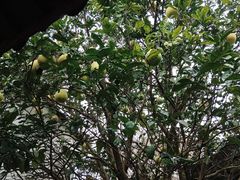 -丝绸小镇荻港古村