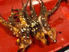 鱿鱼头-柿子树炭烤羊腿(金台路店)