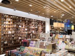 -猫的天空之城概念书店(印象城购物中心店)