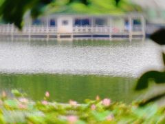 -荔湾湖公园