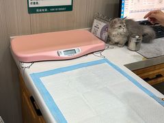 -佑安动物医院·全科·内窥镜中心(幸福巷店)