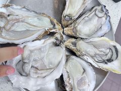 -冯姐生蚝(长隆横琴店)