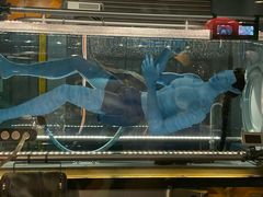 -奥兰多迪士尼动物王国乐园