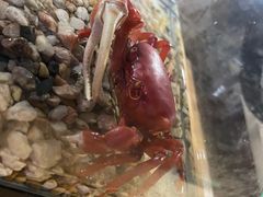 -正佳雨林生态植物园